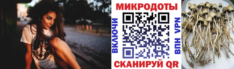 блэк спрут ссылки  Гулькевичи  shop какой сайт  купить  сайты  Галлюциногенные грибы Cubensis 
