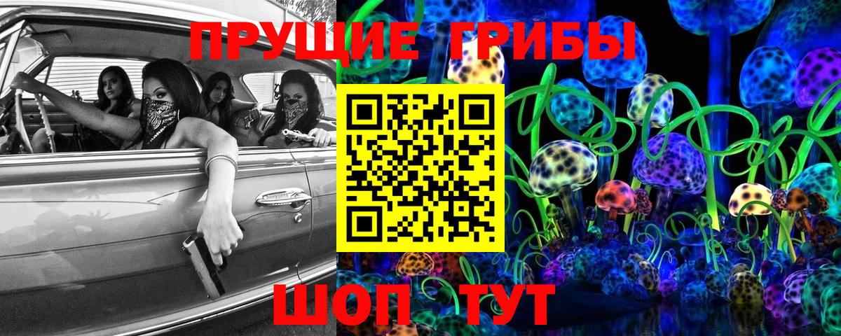 Псилоцибиновые грибы GOLDEN TEACHER Гулькевичи