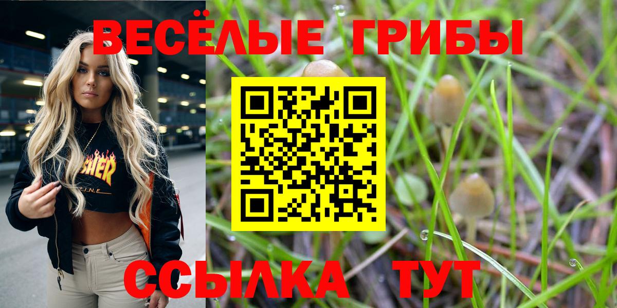 Псилоцибиновые грибы Psilocybine cubensis  где найти наркотики  Гулькевичи  Вход с VPN 